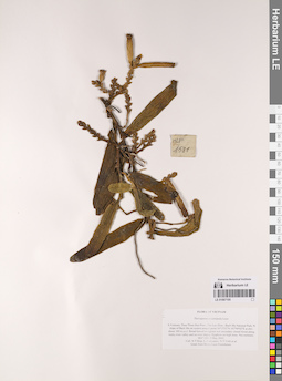 LE 01067195