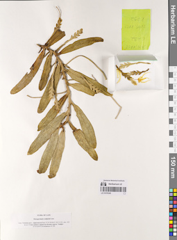 LE 01076345