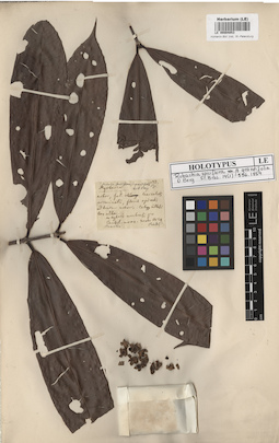 LE 00004053