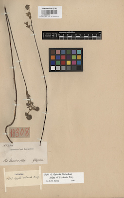 LE 00004780