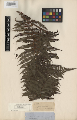 LE 00008070