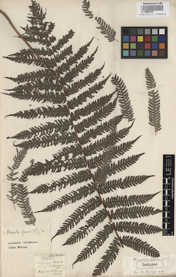 LE 00008103