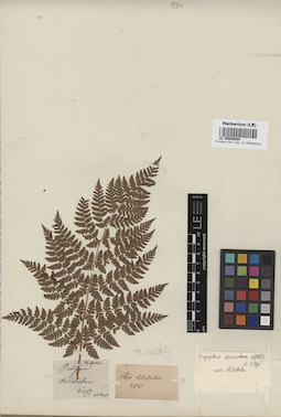 LE 00008694
