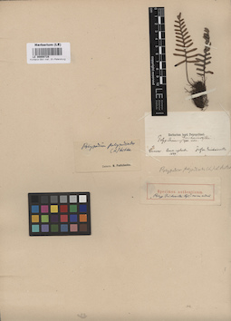 LE 00008728