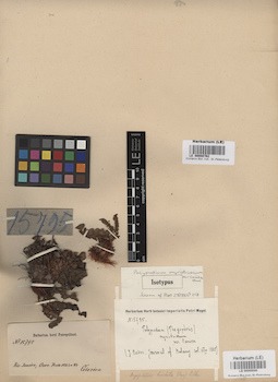 LE 00008762