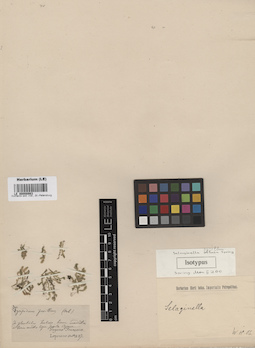 LE 00008983