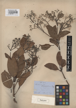 LE 00012583