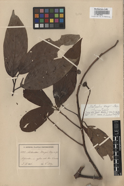 LE 00012643