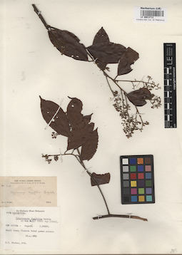 LE 00012712
