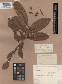 LE 00012724