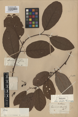 LE 00012748