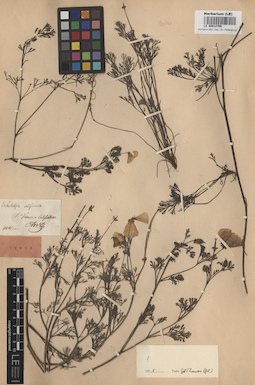 LE 00012790