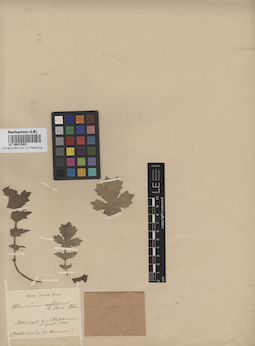 LE 00012801
