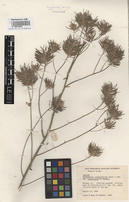 LE 00012808