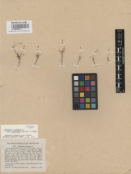 LE 00012811