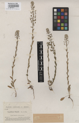 LE 00012813