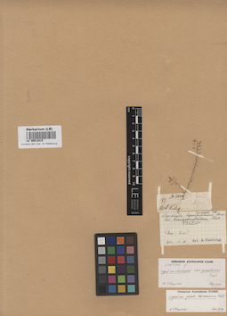 LE 00012815