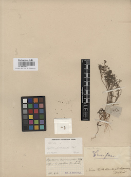 LE 00012817