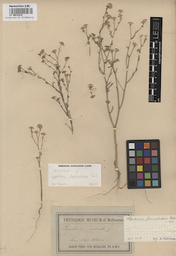 LE 00012818