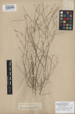 LE 00012827