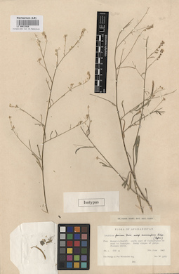 LE 00012829