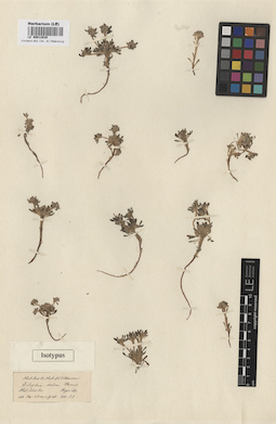 LE 00012839