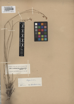 LE 00012841
