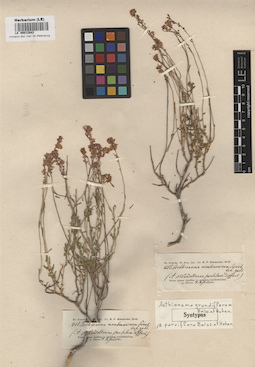 LE 00012843