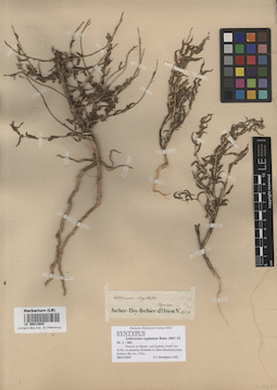 LE 00012845