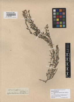LE 00012846
