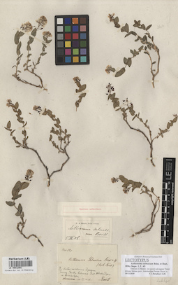 LE 00012851