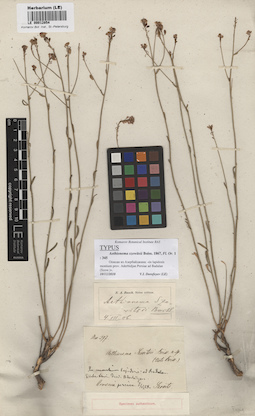 LE 00012854