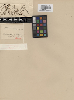 LE 00012855