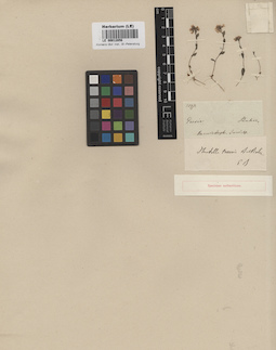 LE 00012856