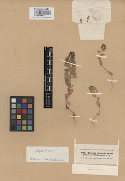 LE 00012863