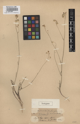 LE 00012865