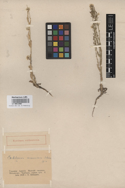 LE 00012866