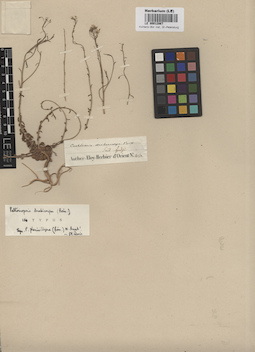 LE 00012867