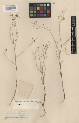 LE 00012868