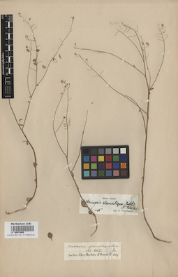 LE 00012869