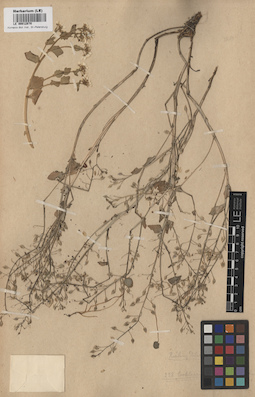 LE 00012870