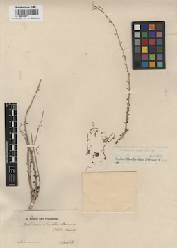 LE 00012877