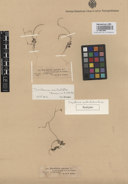 LE 00012885
