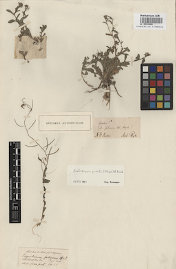 LE 00012886