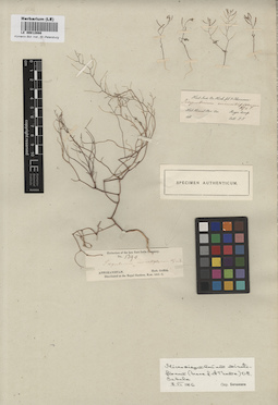 LE 00012888
