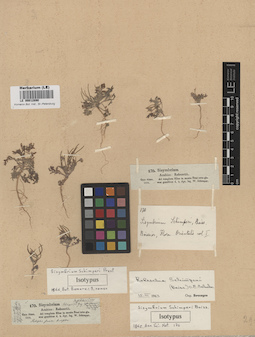 LE 00012890