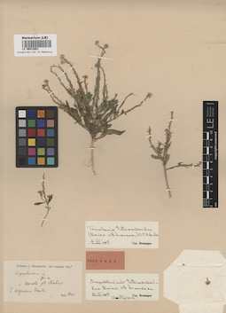 LE 00012891