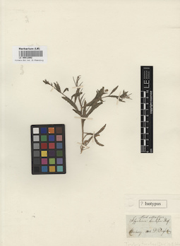 LE 00012892