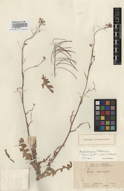 LE 00012895