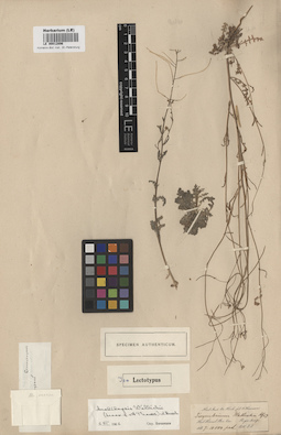LE 00012896